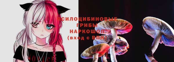 а пвп мука Бородино