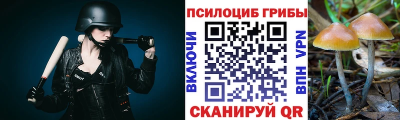 Галлюциногенные грибы прущие грибы  hydra зеркало  Севастополь 